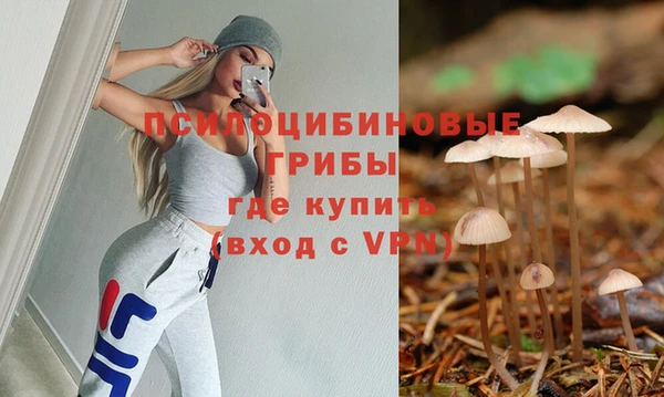 таблы Сосновый Бор