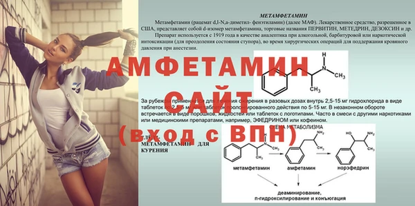 прущие грибы Сосновоборск